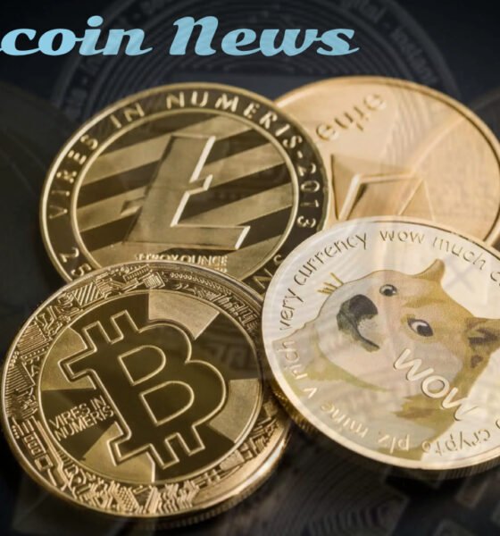 Dogecoin News