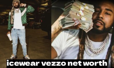 Icewear Vezzo Net Worth