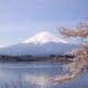 mount fuji facts