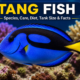 tang fish