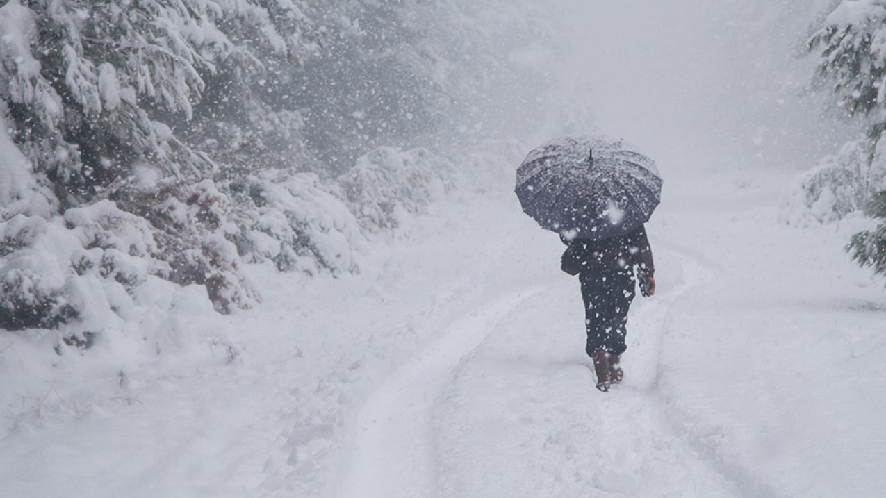 winter forecast