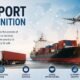 export definition